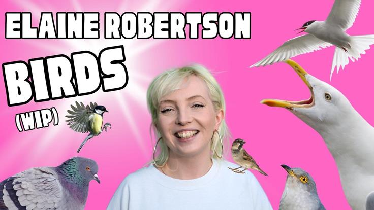 Elaine Robertson: Birds (WIP)